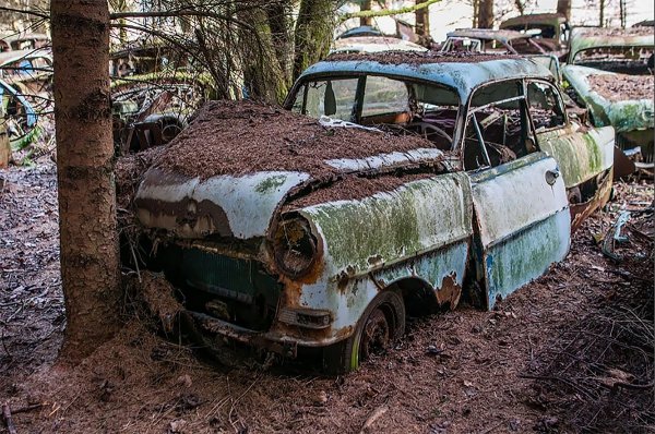 За разлика от замъка край Брюксел с изоставените Alfa Romeo, които бяха открити в началото на годината, това гробище на територията на белгийското градче Шотиен е известно от доста време. В него от десетилетия гният десетки машини, като причината за тяхната поява в местността не е известна.