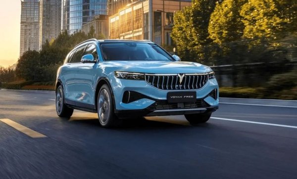 Дъщерна марка на Dongfeng за премиум автомобили, представлявана у нас от ADG Bulgaria. И осемте регистрации тази година са на кросоувъра Free, но този резултат е по-слаб от миналогодишния. 
