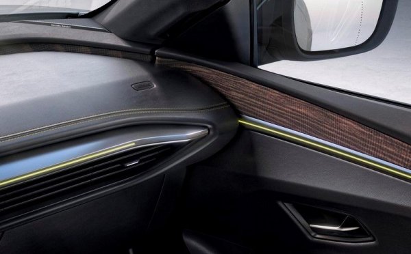 Мисълта за ефекта върху околната среда е била водеща и при създаването на интериора. Цялата тапицерия на електрическия Megane е изработена от рециклирани материали. Освен това в колата са използвани над 27 кг рециклирани пластмаси - примерно по вътрешната структура на таблото и в долната, невидима част на кабината. Дори фурнирът от естествено дърво за високооборудваните версии е от рециклиран материал. 
95% от електромобила са предвидени за повторно рециклиране след края на живота му. 
