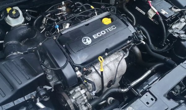 Insignia се предлагаше с доста голям избор от двигатели. При бензините те се простираха от 1.6 VVT със 115 коня до споменатия 2.8-литров V6 от Holden. 
Най-популярните бензинови агрегати са именно 1.6 и 1.8 Еcotec (A16XER и A18XER). И двата са изцяло германска разработка и са добре замислени, но недотам добре изпълнени в някои отношения. Проблеми създават термостатът, топлообменникът, фазорегулаторите. Но като цяло при добра поддръжка тези агрегати могат да прослужат дълго.  
Среща се също A16LET - пак 1.6-литров, но с добавено турбо, от което надеждността страда. Много е чувствителен към качеството на горивото. 
Над него е двулитровият A20NHT с туин-скрол турбо и 220 коня. Той е доста надежден, но пък и при повреда разходите за ремонт са чувствително по-високи. 
Разположеният на върха на гамата австралийски A28NET/A28NER е добър мотор от старата школа, почти без слаби места. 
