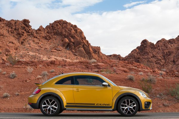 Beetle Dune