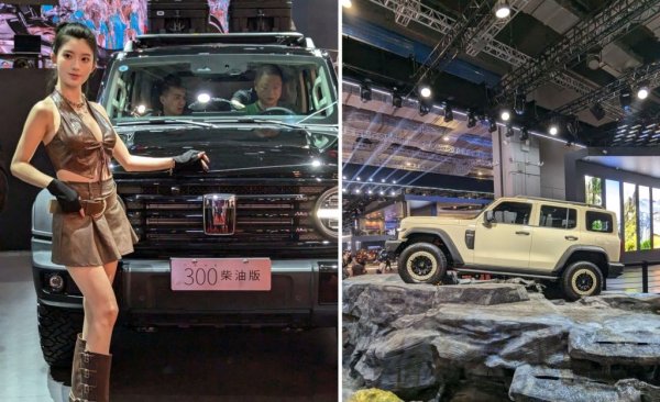 Най-популярният всъдеход на дъщерната марка на Great Wall получава няколко нови версии и задвижвания. Не е напълно изключено след време да го видим и на доста обеднелия откъм сериозни офроудъри български пазар. 

