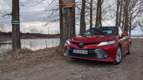 След дълга пауза Toyota върна Camry в Европа през 2019 и оттогава продажбите в България постепенно растат. Отпадането на Avensis от гамата също помага. 
