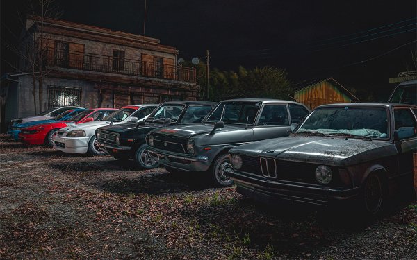 Според хората, открили машините, това са донори за тунинг-проекти, които просто са забравени от своите собственици. Не всички от тях са уникални, но пък се срещат доста редките Alpina B7 Turbo S и Alpina 635CSI, класическо BMW 635CSI, уникален Land Rover TD5 Defender, а също така Toyota Trueno GT-Z, Chevrolet Corvette C3, BMW E9 и дори Citroen AX GT.