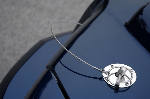 Shelby GT500 Super Snake 2010