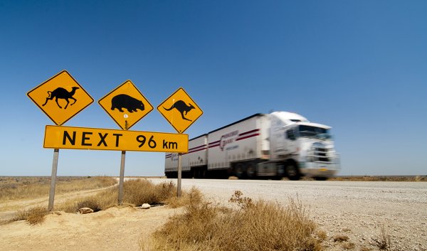 Магистрала №1 в Австралия, известна още като "Голямата обиколка", е връзка от магистрали, които правят гигантски контур по цялата страна. Пътят минава през почти всички обитаеми райони на Австралия и през всички големи градове, включително Сидни, Мелбърн и Бризбейн. За да се насладите истински на пътуването, ще са ви необходими обаче малко повече от 3 месеца. Маршрутът се състои от спиращи дъха крайбрежни ивици, земеделски земи и национални паркове.