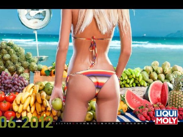 LIQUI MOLY Календар 2012