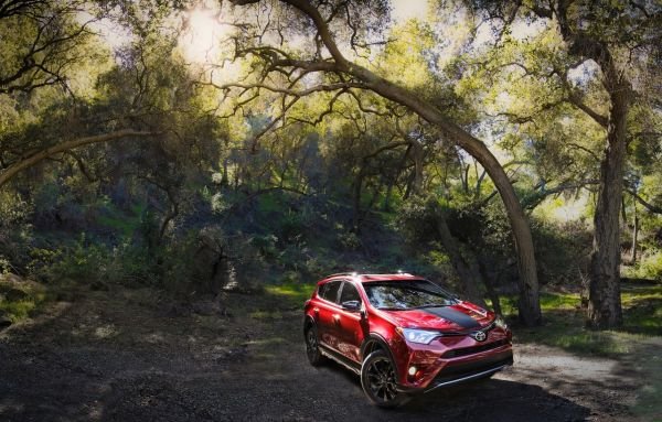 RAV4 Adventure 