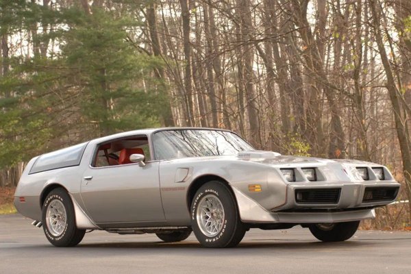 Идеята за направата на комби от второто поколение Firebird неочаквано получава подкрепа от General Motors. Построени са две концепции, а едната от тях дори получи фейслифт, като серийния модел от 1979.

Една от най-нетипичните характеристики са вратите &bdquo;крило на чайка&ldquo;. Серийното производство беше отложено по редица причини, включително невероятно високата цена на проекта.
