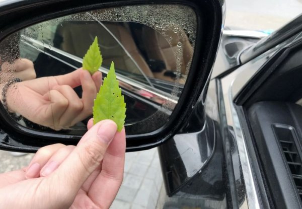 Продава се и специално тънко фолио - подобно на това, която се използва за тониране на прозорците. Същото се слага и на каските на автомобилните пилоти. Неговото поставяне обаче трябва да се извърши в специализиран сервиз, защото иначе под него се появяват мехурчета и резултатът няма да ви зарадва.
