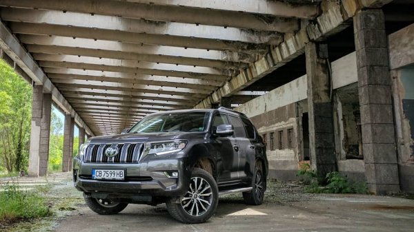 Японската марка дръпна като пазарен дял от началото на годината, но сега забавя темпото - регистрациите през юни (159) са по-малко, отколкото през май (162). От началото на годината 76 автомобила са били дерегистрирани за реекспорт. 
