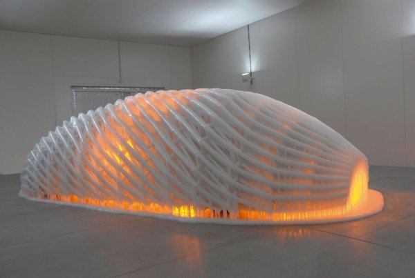 Без съмнение това е най-необичайната от 19-те арт коли до момента. Възложена e на датско-исландския скулптор Олафюр Елиасон в момент, в който промените в климата стават основна тема в комуникационната стратегия на BMW. Елиасон получава като основа водородния прототип BMW H2R. Но вместо обичайната изрисувана кола, той създава това необикновено "покривало" за нея от стоманена мрежа, метални плочи и множество слоеве лед. 