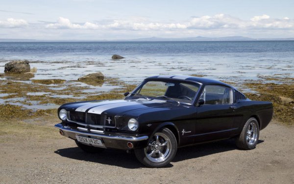 Този път нещата са малко по-различни, тъй като Mustang никога не е излизал от производство, но пък новото попълнение в семейството е напълно различно от всичко досега. Решението на компанията да даде култовото име на електромобил си остава доста спорно и предизвика огромно недоволство у феновете на марката. 