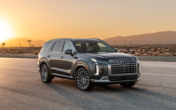 Авторите на изследването нарекоха модела от 2022 г. най-надеждният Hyundai Palisade на вторичния пазар. Експертите подчертаха, че този кросоувър е оборудван с V6 двигател с висок ресурс. Корейската кола също участва в различни сервизни кампаниите, но всички те не бяха свързани със сериозни проблеми в колата.
