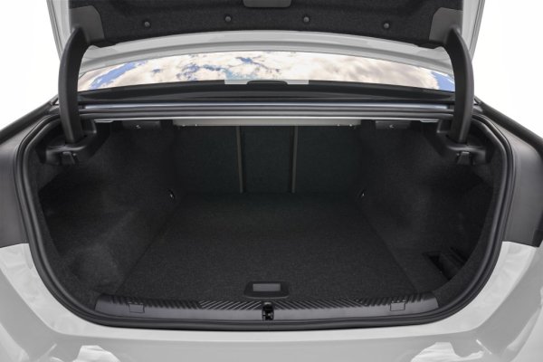 BMW не се отказва и от дизеловите си агрегати, отново съчетани с меки хибридни системи. Версията 520d развива 197 конски сили максимална мощност и харчи 5.1-5.6 литра на 100 км; тя може да бъде оборудвана и със системата за задвижване на четирите колела xDrive, което леко увеличава разхода до 5.5-6.0 литра на сто по тестовия цикъл WLTP. 
