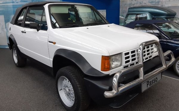 В началото на 90-те години на италианците им идва идеята да съберат в едно шасито на Golf Country със задвижване на четирите колели и каросерията на Golf Cabriolet. Резултатът от това е Biagini Passo, който е оборудван с бензинов двигател с обем 1,7 литра и мощност 98 к.с. Сглобени са 65 бройки от този модел.