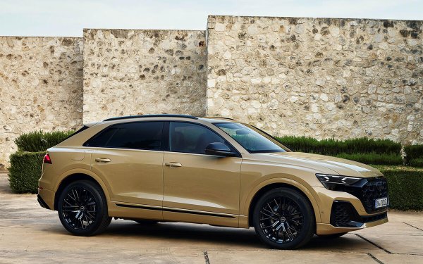 Засегнати модели: 4 модела

Електрическият e-tron претърпя няколко изтегляния; виновниците са проблеми с със спирачките, както и загуби на напрежение в модулите с клетки на батерията. 
По-новият Q8 e-tron беше засегнат от потенциален теч на спирачна течност, Q3 беше изтеглен поради проблем с обтегача на предпазния колан, e-tron GT - заради проблем с модула на батерията. Накрая отделни бройки Q7 и Q8 (на снимката) от 2023 година бяха отзовани заради проблем с въздушната възглавница.

