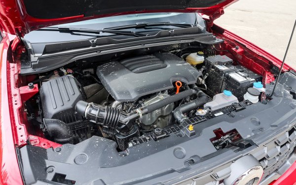 Ако кросоувърът попадне в калта, радиаторите и повърхността на двигателя могат да се покрият с кора от кал. Това покритие е доста издръжлива, като затруднява отстраняването на топлината. И двигателят може да бъде съсипан само с едно преминаване през кален терен. Затова и собствениците на кросоувъри трябва особено внимателно да следят чистотата на радиаторите (системи за охлаждане и климатизация) и двигателя. И да ги мият често.