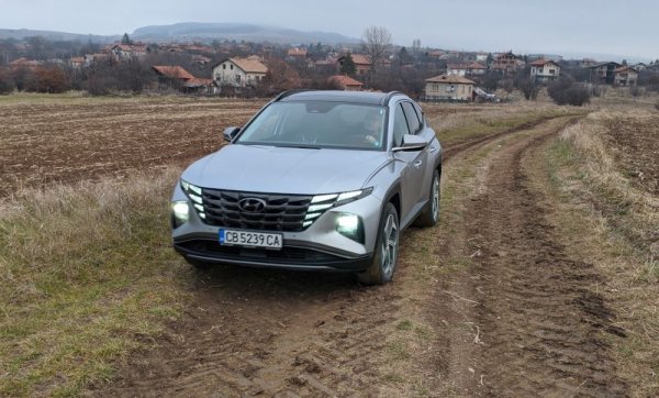 Регистрациите на корейската марка са с близо 33% над миналогодишните, а пазарният дял е вече 3.05%.

Най-продаваните модели:
Tucson - 208
i20 - 208
Kona - 140
i10 - 99
Santa Fe - 61

Други: Ioniq - 56, i30 - 51, Bayon - 30, Ioniq 5 - 20, Elantra - 10, H350 - 1, 
