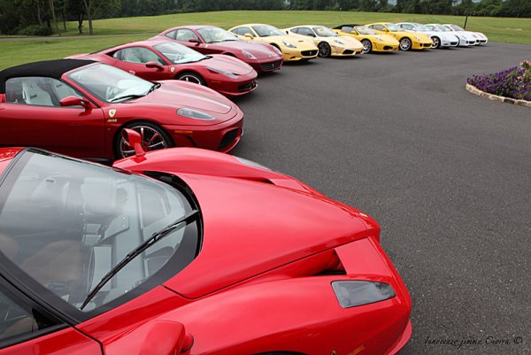 Частна колекция от 82 суперколи