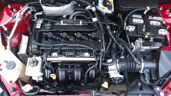 Проблеми: пукнатини в цилиндровия блок; прекомерен разход на масло; бързо износване на бутални пръстени; ненадежден термостат и помпа. 

Особено актуално за Mazda 6, CX-5, Ford Fusion. Въпреки простия дизайн, двигателят има слаб ресурс без основен ремонт. Разходите за поддръжка могат да изненадат дори собствениците на немски автомобили.
