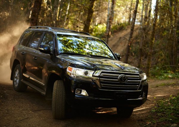 среден показател за повредите 53,9%
