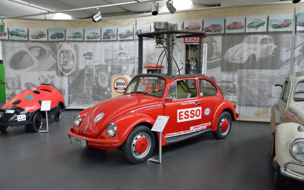 Volkswagen Beetle е завладявал всички континенти, включително Антарктида. А моделът от 1995 г. дори се издигна до небето над Швейцария. Това стана възможно благодарение на специално оборудване, предвидено за балони с горещ въздух.