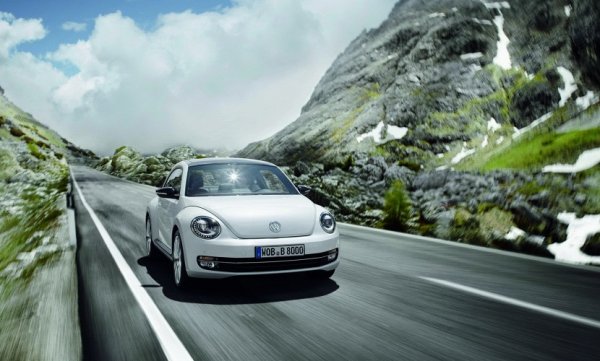 Beetle