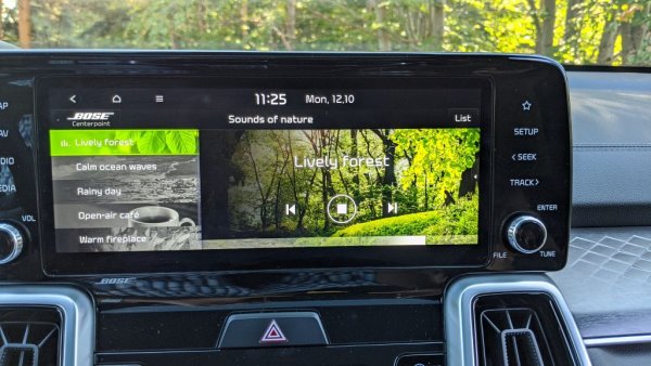 В аудиосистемата са запаметени и няколко естествени фонови шума, например пролетна гора. Пробвахме ги и наистина действат успокояващо