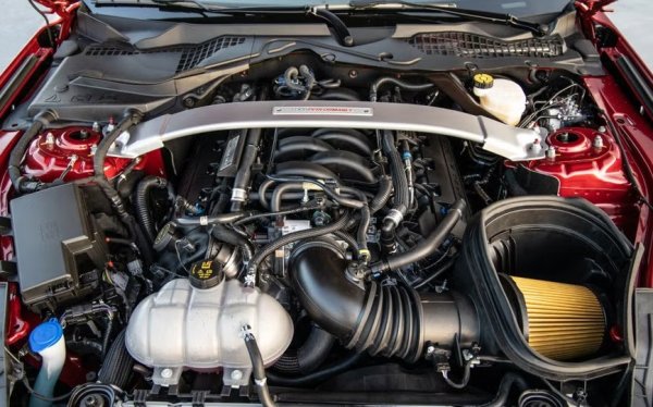 Ford Mustang GT350 е един от онези редки автомобили, които предлагат повече, отколкото обещават, а обещаваха... много. Ключът към привлекателността му се криеше в 5.2-литровия V8 двигател &bdquo;Voodoo&ldquo; с плосък колянов вал, който беше проектиран специално за този модел. 

Не беше толкова безумно мощен, колкото последвалия го GT500 с компресор и 760 к.с., но този високотехнологичен двигател правеше GT350 красиво балансирана машина. А най-хубавото беше, че GT350 се предлагаше с ръчна скоростна кутия.