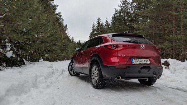 Почти 43% спад за марката, което се дължи до голяма степен и на затруднените доставки от Япония от март насам. Пазарният дял е 1.2%. 
