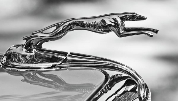 Красивата хрътка в скок се появява на капаците на автомобилите Lincoln, след като Хенри Форд купува фалиралата компания през 1922 година. Идеята на Форд била тази фигурка да се асоциира с високата класа и спортната динамика на автомобилите. Орнаментът е създаден със същата техника като Spirit of Ecstasy, като краси автомобилите Lincoln само до края на 30-те години. Скочилата хрътка вдъхновява много други вдъхновени от животните орнаменти, включително и скочилия ягуар на Jaguar и овенът на Dodge.