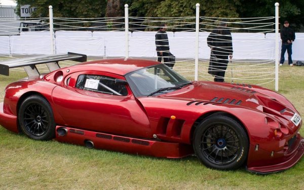 Speed 12 е еманация на амбициите на Питър Уилър по отношение на TVR. След успехите на британската марка през 90-те години, Уилър иска TVR да участва в клас GT1 и да се бори срещу Porsche и Mercedes. Затова и Speed 12 получава 7,7-литров V12 мотор с почти 900 конски сили.
Състезателната версия така и не стига до Льо Ман, а серийния вариант остава прототип, въпреки че са налице няколко поръчки. При цена 180 000 лири Speed 12 е с мощност 1000 конски сили, но Уилър анулира поръчките и връща парите, тъй като решава, че тази кола е много опасна за шофиране по обществените пътища.