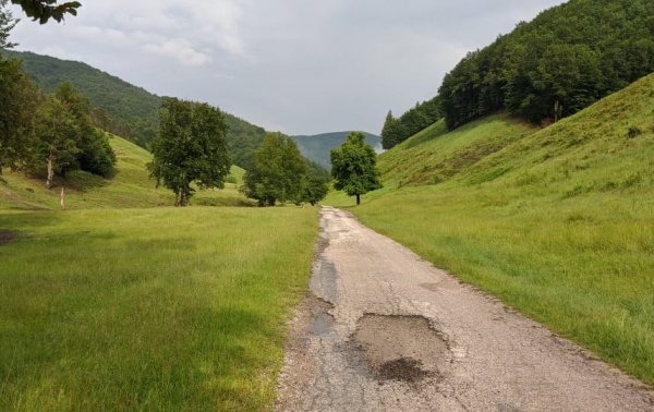 Естествено, това не значи да се примирим със ситуацията и да си подсвиркваме. България дава трагични и напълно излишни жертви по пътищата, които сравнително лесно могат да бъдат избегнати. Това изисква не по-строги закони, по-големи глоби, по-гръмки забрани - изисква само ангажираните с прилагането им да си вършат съвестно работата. България има известен напредък при техническите прегледи и при борбата с корупцията сред пътните полицаи. Но няма никакъв напредък в най-лесните за осъществяване неща: полицията да следи за спазването на всички правила, а не само на две; и освен това да следи за състоянието на пътищата и да съставя актове на общини и държавни структури като АПИ - за което има нужния мандат. Впрочем любопитно е, че много от неправителствените организации, които ламтят да бъдат финансирани от ЕС, за да се влеят във "войната по пътищата", са съставени от бивши служители и дори ръководители на Пътна полиция. Които са имали пълната възможност да предприемат реални, работещи мерки. Но кой знае защо са пропуснали да го направят. 
