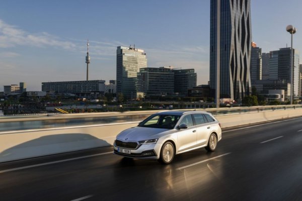 Малко изненадващо, в една от най-богатите страни в Европа пазарен лидер е Octavia, с 4148 продажби. Второто място е за VW Tiguan, после се нареждат Tesla Model 3, Mercedes A-class, VW Transporter и VW Golf. 
