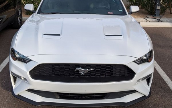 Другата най-потърпевша марка от кризата. Спадът на годишна база е 58%. Регистрациите през юли са 74, леко намаление от юни. Над две пети от продадените автомобили са лекотоварни с N1.
