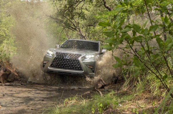 Победителят от миналата година Lexus RX не успя да затвърди позицията си и се смъкна от първо на трето място. Победител обаче е друг модел на японската марка &ndash; Lexus GX, а зад него се нарежда Lincoln Nautilus.