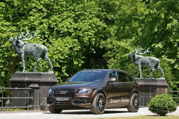 Audi Q5 от Senner Tuning