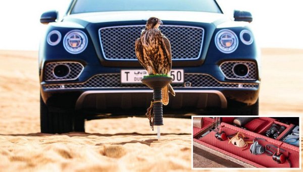 В опит да убеди свръхбогатите купувачи, че луксът не е само Rolls-Royce, Bentley предложи за своя SUV Bentayga няколко допълнителни комплекта за аристократични занимания като... соколарство. Комплектът включваше не само луксозна кутия с всевъзможни качулчици, ръкавици и прочие, но и специална подвижна стойка отпред, върху която птицата да каца. 
Имаше и риболовен комплект за недотам изтънчени клиенти. 
