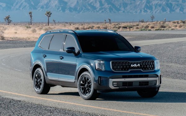 Предимства - просторен трети ред и голям багажник; оригинален дизайн; високо ниво на технологиите; добра вътрешна облицовка.

Недостатъци - няма хибридна или високопроизводителна версия. 

Версията на Kia Telluride за американския пазар е роднина на Hyundai Palisade и има същите плюсове и минуси. 