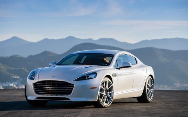 В автопарка на легендарния вратар има и Aston Martin Rapide. Автомобилът, който е живо въплъщение на английския спортен стил, беше представен през 2009 година в Германия. Под капака му е поставен 12-цилиндров агрегат с обем 5.9 литра и мощност 477 к.с. Ускорението до сто при Aston Martin Rapide отнема 5.3 секунди, а максималната скорост достига 294 км/ч.