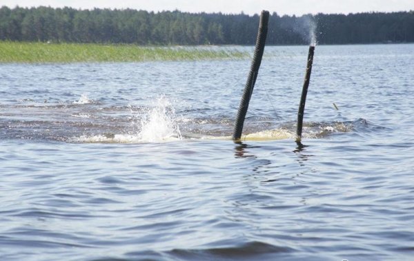 Лада Нива Амфибия?!