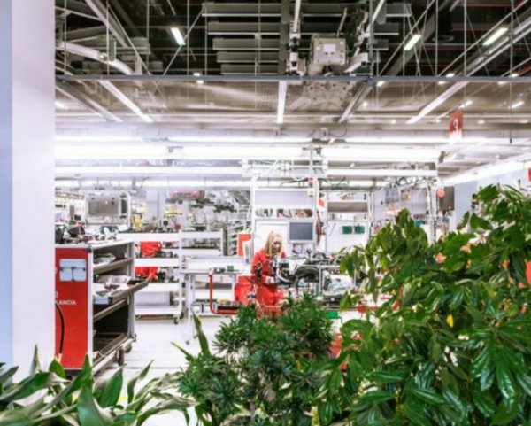 В завода на италианската компания за спортни коли растат истински, зелени дървета. Това се прави с цел запазване на здравето на работниците в предприятието, тъй като дърветата подобряват микроклимата. Подобен подход показва, че ръководството на Ferrari заслужава само поздравления за това, че се грижи за здравето на своите служители. 
