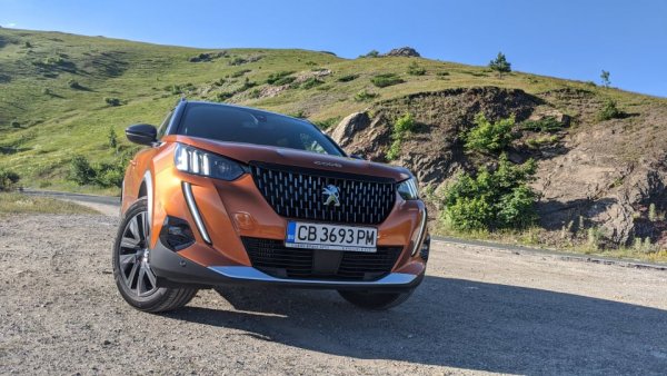 Спадът спрямо 2019 е 39%. От общия брой 307 са лекотоварните коли, а 36 са отписани впоследствие за реекспорт. 
