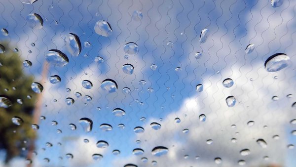 В много държави по света работещата на празен ход кола става причина за глоба. А това често се случва през зимата, когато шофьорът пали двигателя и слиза, за да изстърже леда от предното стъкло. Далеч по-лесно е това да стане с помощта на система за подгряване, каквато Ford, например, предлага от много време.