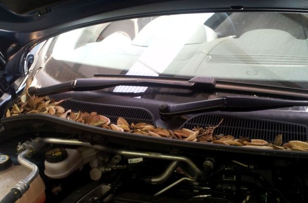 През есента под предния капак неизменно се промушват опадали листа, и започват да гният там. Понеже това става най-често там, където са въздухозаборниците за купето, резултатът е лоша миризма в колата през цялото зима. 
Важно е също да проверите климатика и да долеете хладилен газ, ако се налага. Хубаво е климатичната система да се включва и през зимата, поне отвреме навреме, иначе уплътненията може да изсъхнат и да се повредят. 
