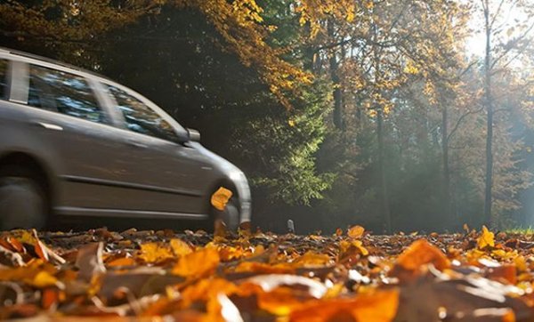 Най-съществената подготовка за зимата всъщност протича в собствените ни глави. Задачата е да свикнем с мисълта, че пътищата вече не са това, което бяха през лятото. Паднали листа, кал, слани, терен лед: идва сезонът да караме внимателно и подчертано по-бавно. Нито задвижването 4х4 на някой модерен кросоувър, нито дори най-скъпите зимни гуми могат да поправят неадекватното бързане на шофьора.

