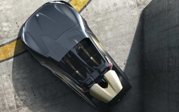 Идеята за електрически концептуален автомобил с две седалки не е особено радикална, но Peugeot EX1 демонстрира доста ново начин за влизане и излизане. Краката на шофьора и пътника влизат последните заради конструкцията на седалките, които са прикрепени към задните врати. Концептът на Peugeot беше създаден през 2010 година по случай 200-годишнината на марката, като ускорява от 0 до 100 км/ч за 3 секунди.