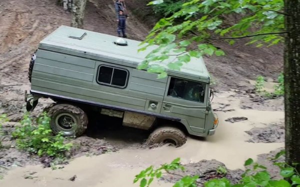 Pinzgauer по принцип е порода крави, която особено добре вирее по високите поляни на Алпите. Именно затова някогашната Steyr-Daimler-Puch избра името и за своя високопроходим автомобил за военни нужди. От първото му поколение бяха произведени 18,349 бройки, някои от които продадени и на цивилни. 710 MS е вариантът с 4х4 (712 e с 6х6), с 2.5-литров бензинов двигател с 88 конски сили и 180 Нм въртящ момент. Естествено, основният коз на тази машина е проходимостта - тя има две трансферни кутии с хидравлични заключващи се диференциали, и 33.5 см минимален просвет. 
