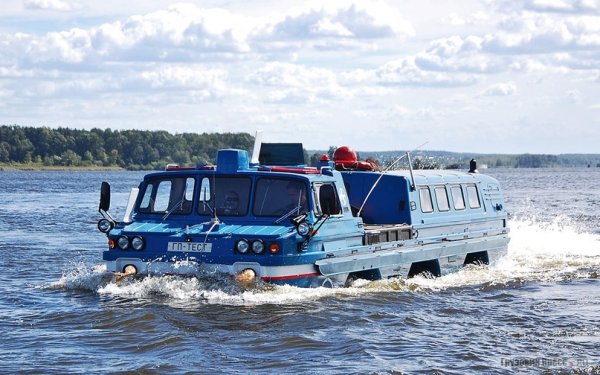 Произведени са само 26 екземпляра - 14 с пътнически кабини и 12 с товарни. 
Пътническите побират до седем души. "Синята птица" има независимо окачване, чифт витла за плаване във вода, както и завиващи предни и задни колила. Минималният просвет е 59 см. 9-метровият гигант размима 80 км/ч на суша и 9 км/ч във вода. Двигателят е с мощност до 185 конски сили, трансмисията е 10-степенна. ЗИЛ-49061 и до днес се ползва от космическата програма на Русия. 
